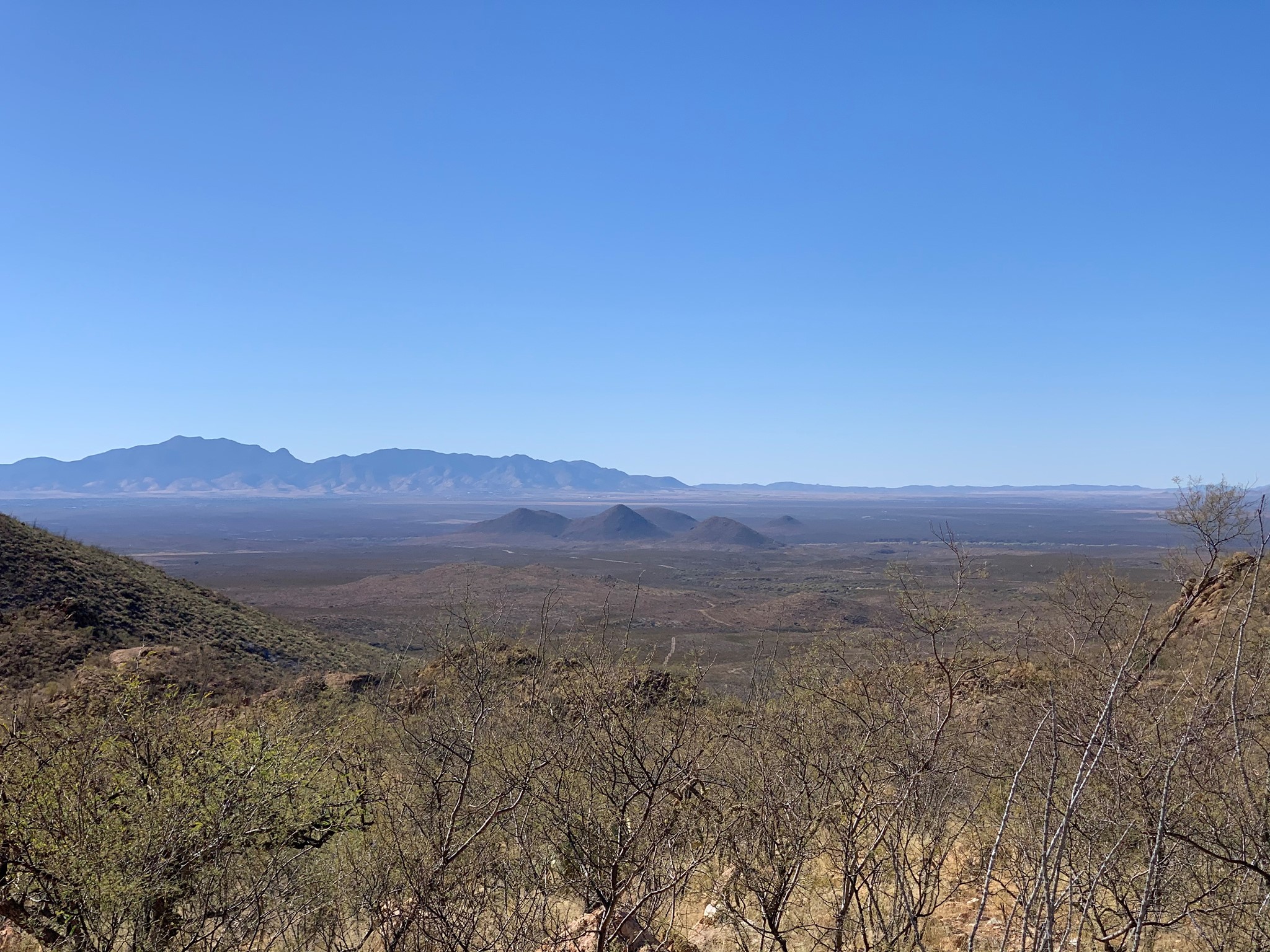 arizona